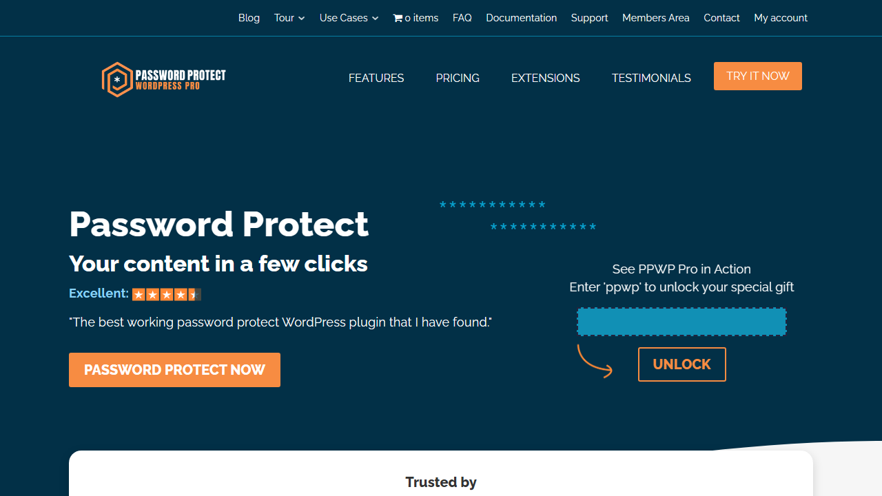 Password Protect WordPress Pro - best WordPress file protection plugins for client portal document locking